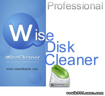 Wise Disk Cleaner Professional 5.83 Build 267